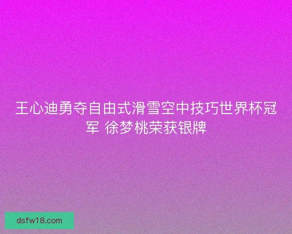王心迪勇夺自由式滑雪空中技巧世界杯冠军 徐梦桃荣获银牌